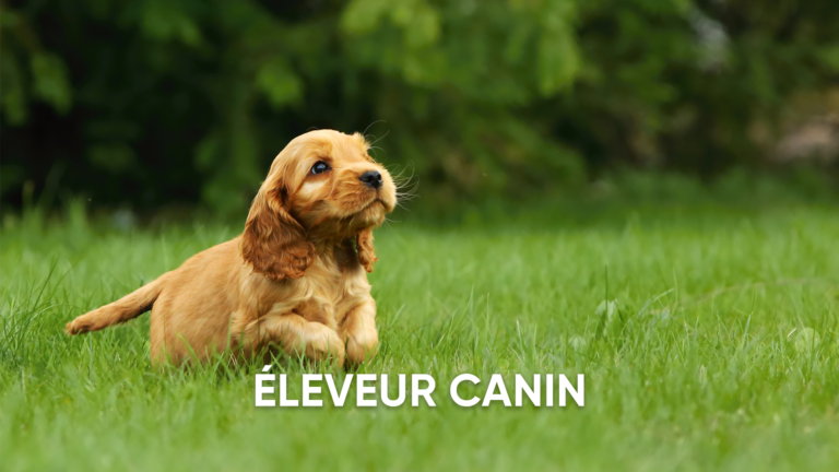 ELEVEUR-CANIN