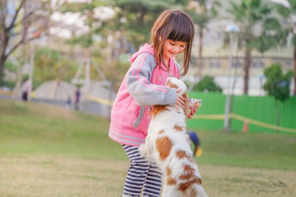 médiation-animale-montessori